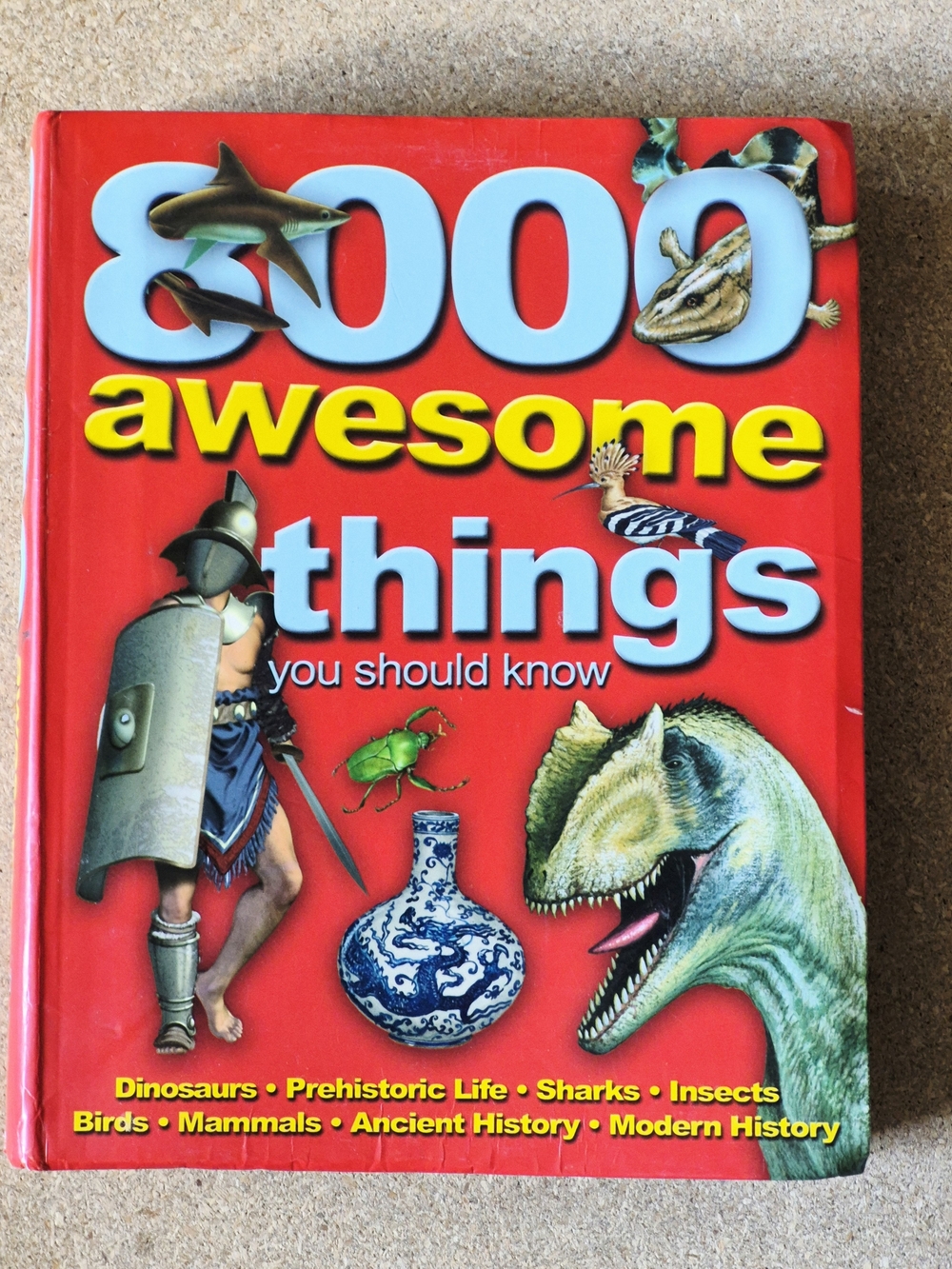 8000 Awesome Things You Should Know - Red Illustrated Softcover